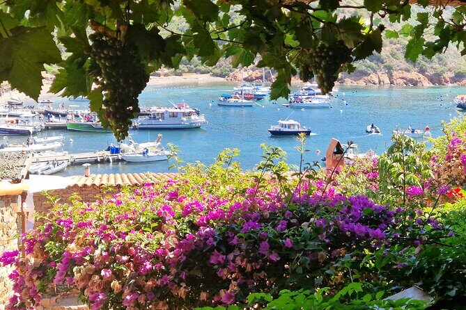 Day at Scandola and Calanques de Piana in a small group - Practical Details and Considerations