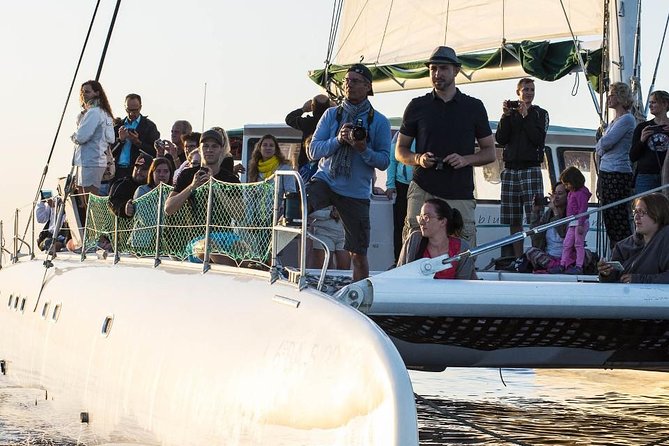 Day Catamaran Trip: Cap Des Freus and Llevant Natural Park - Swimming at Hidden Beach