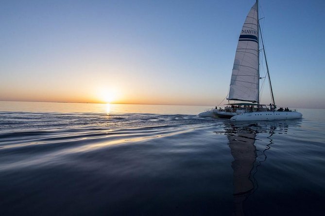 Day Catamaran Trip: Cap Des Freus and Llevant Natural Park - Hotel Pickup and Dropoff
