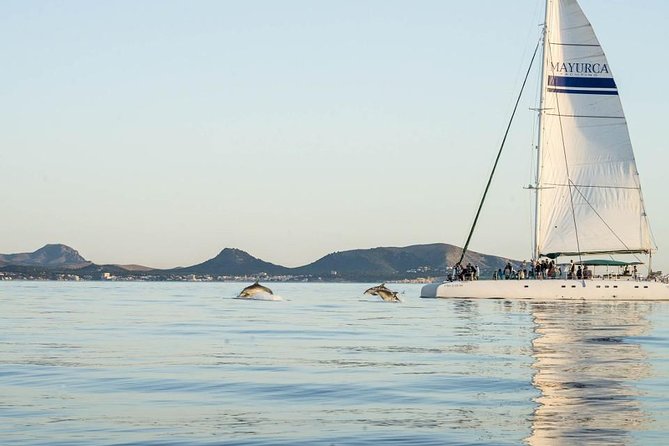 Day Catamaran Trip: Cap Des Freus and Llevant Natural Park - Customer Photos and Testimonials