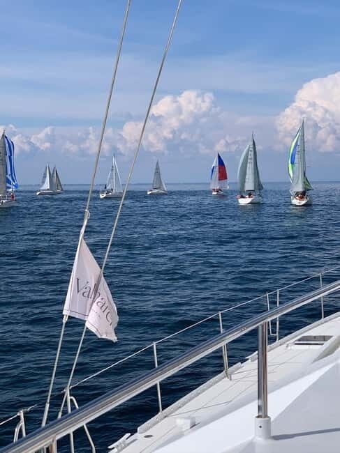 Day cruise on a maxi-catamaran in Quiberon Bay - An Overview of the Experience