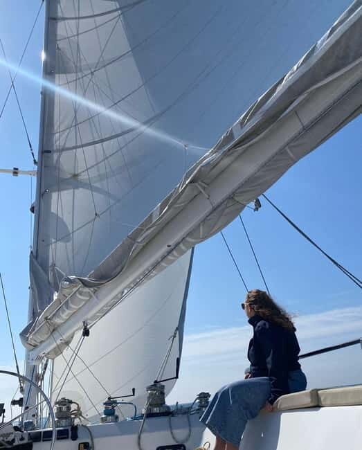 Day cruise on a maxi-catamaran in Quiberon Bay - The Authenticity and Value