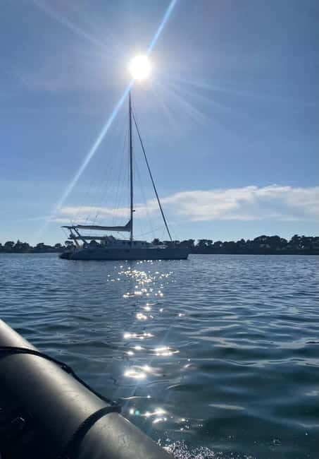 Day cruise on a maxi-catamaran in Quiberon Bay - Final Thoughts: Why Choose This Cruise?
