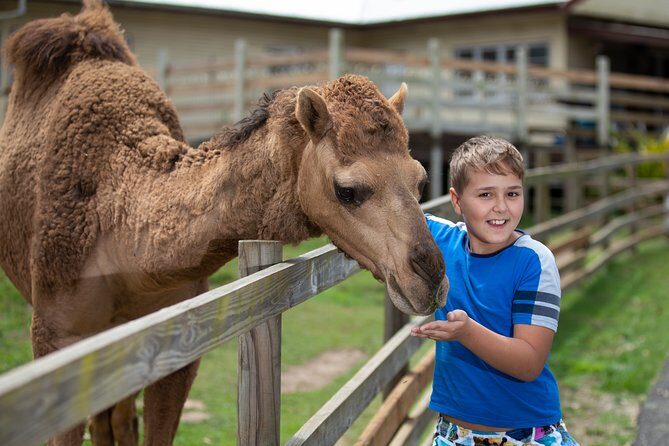 Day Entry ticket - White Ridge Farm Day Entry Ticket Review: A Genuine Family Farm Experience in Queensland