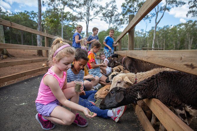 Day Entry ticket - An Honest Look at White Ridge Farm in Queensland