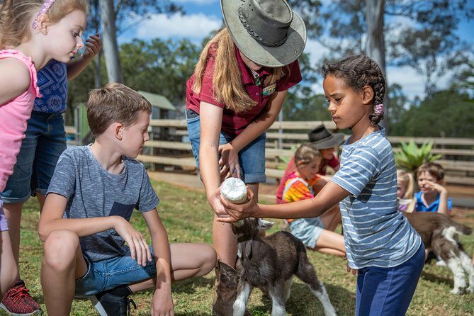 Day Entry ticket - Who Will Love This Experience?