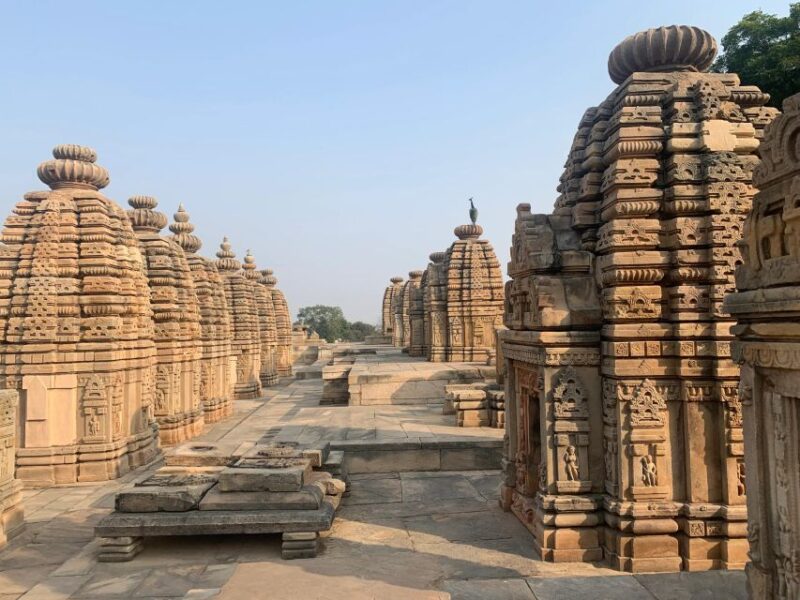 Day Excursion From Agra (Chambal Boat Safari) - Inclusions of the Tour