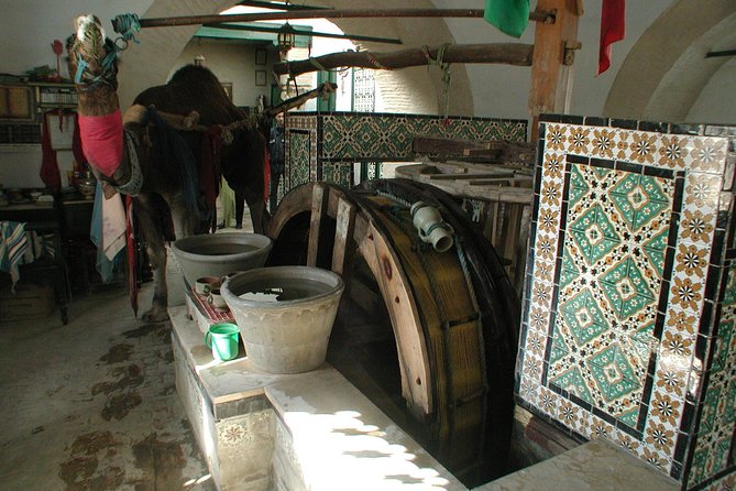 Day Excursion Kairouan_El Jem From Tunis - Inclusions and Amenities