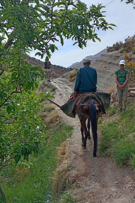 Day Excursion to Imlil Atlas Mountains From Marrakech - Visiting the Imlil Waterfalls