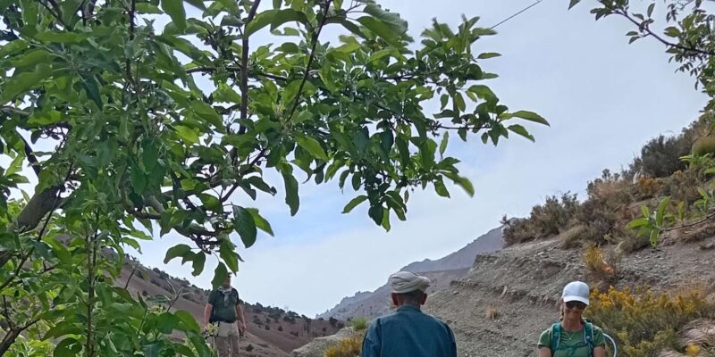 Day Excursion to Imlil Atlas Mountains From Marrakech - Optional Mule Ride Activity