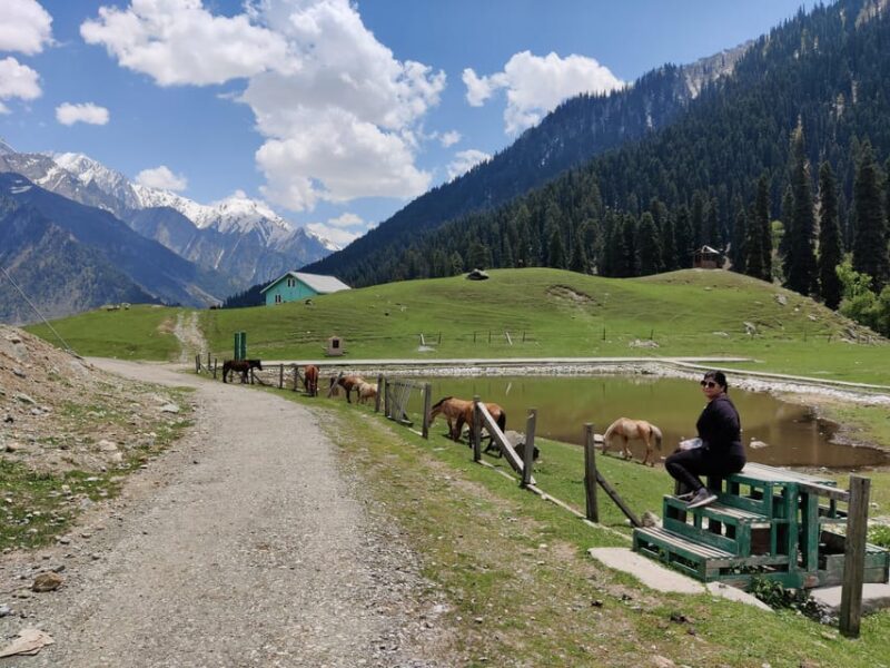 Day Excursion To Sonamarg - Good To Know