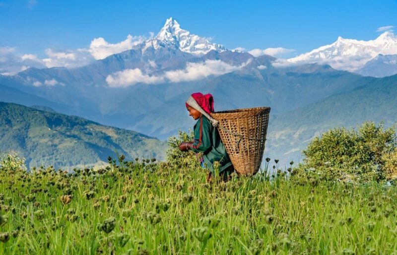Day Hike at Annapurna Foothills - Inclusions and Exclusions