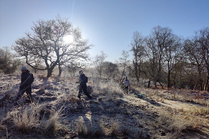 Day Hike: The Brecon Beacons Amazing Six Waterfalls - Why Is This Tour a Good Value?