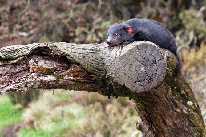 Day Keeper Tour - Value for Money