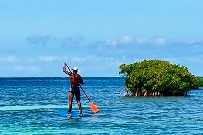 Day Lagoon 100% Sailing stops Snorkelling Paddle - Final Thoughts