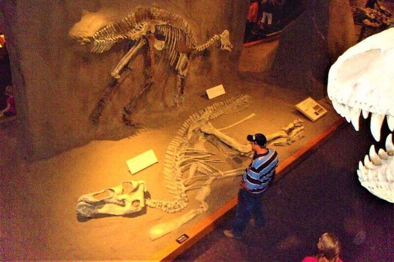 Day of Dinosaurs and Hoodoos From Calgary to the Badlands - Key Points