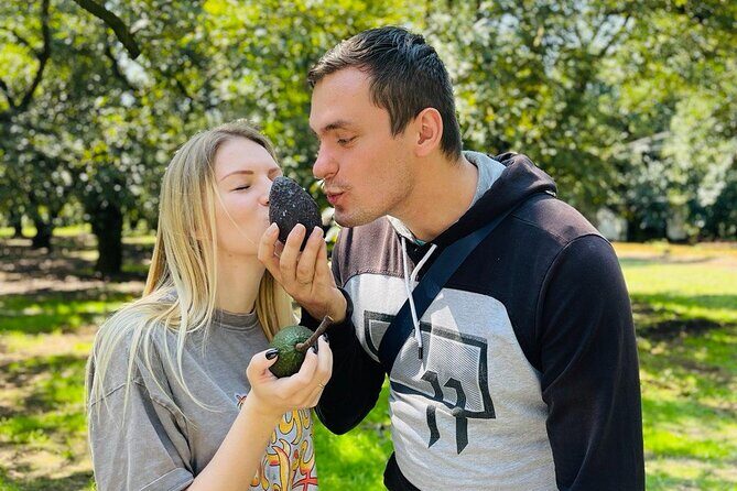 Day of the Dead Tour Michoacan, 2025 - The Sum Up