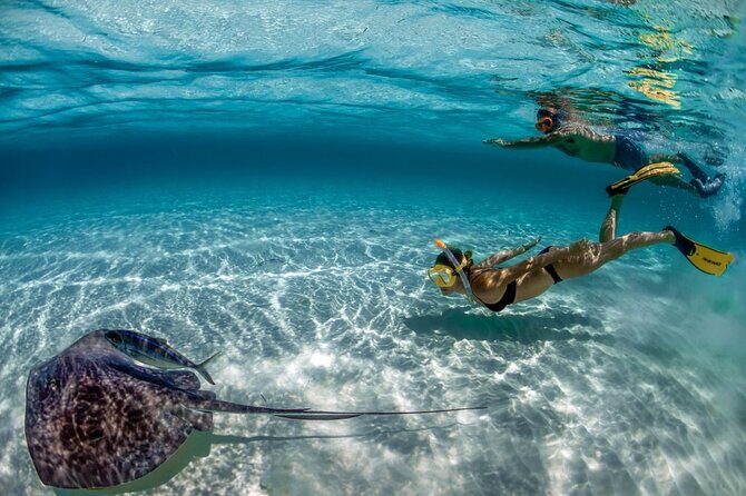 Day Pass To Cozumel Snorkeling By Boat - Key Points