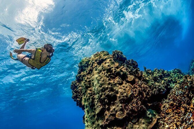 Day Pass To Cozumel Snorkeling By Boat - A Closer Look: Itinerary and Highlights