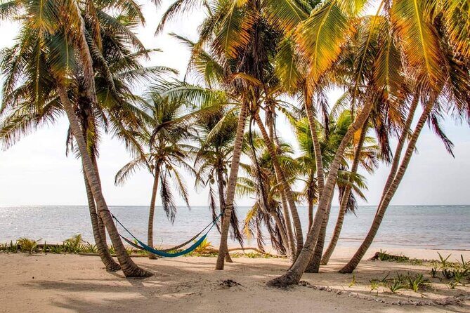 Day Pass to Private Clothing Optional Beach Resort in Xcalak - Key Points