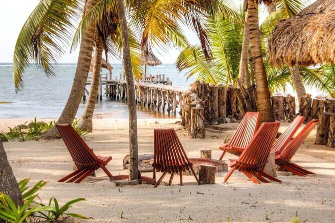 Day Pass to Private Clothing Optional Beach Resort in Xcalak - Practical Tips for Future Visitors