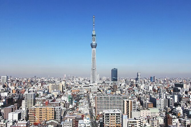 Day Private City Tour of Tokyo With English Speaking Driver - Meeting and Pickup Logistics