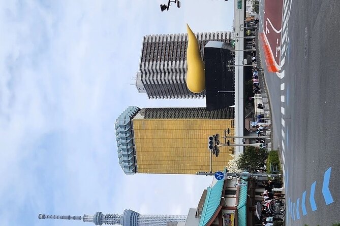 Day Private City Tour of Tokyo With English Speaking Driver - Customer Reviews and Ratings