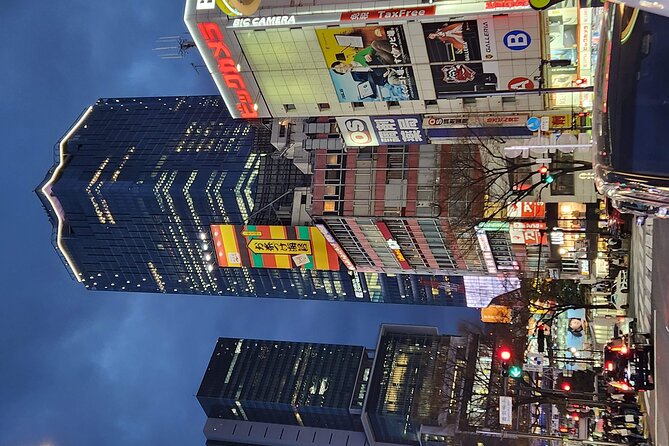 Day Private City Tour of Tokyo With English Speaking Driver - Avoiding the Hassle of Public Transport