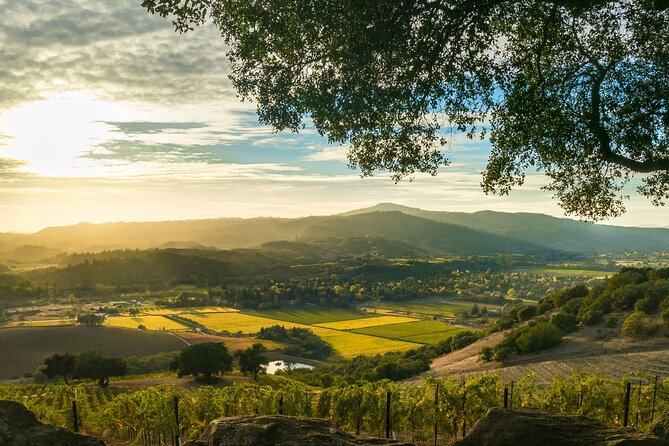Day Private Russian River Valley Wine Tour From San Francisco - What to Expect From Your Tour Guide