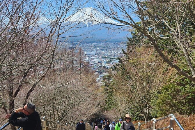 Day Private Tour of Hakone With English Speaking Driver - Hassle-Free Transportation With Private Driver