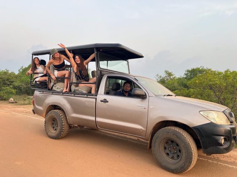 Day Safari From Hambantota - Wildlife Sightings
