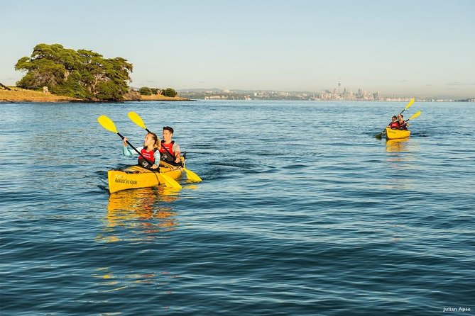 Day Sea Kayak Tour Rangitoto Island - Kayaking Experience