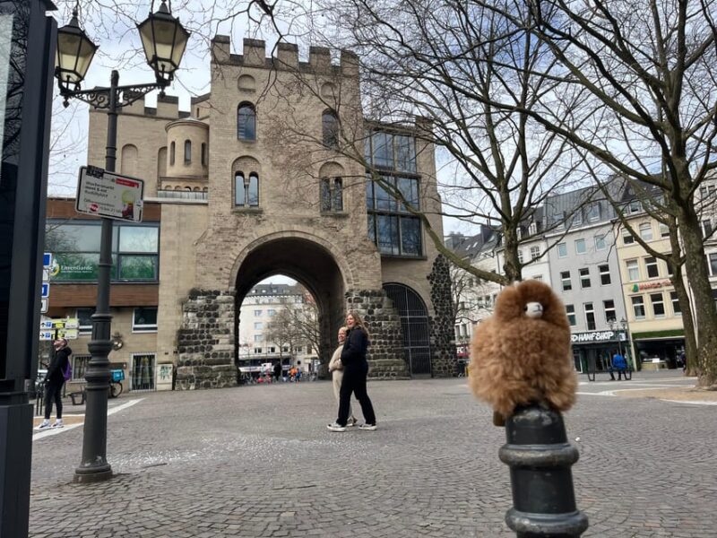 Day Tour Aachen & Cologne From Brussels - Accessibility Features