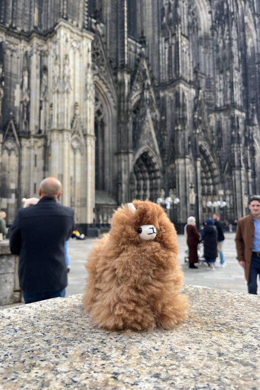 Day Tour Aachen & Cologne From Brussels - Pricing and Payment Options