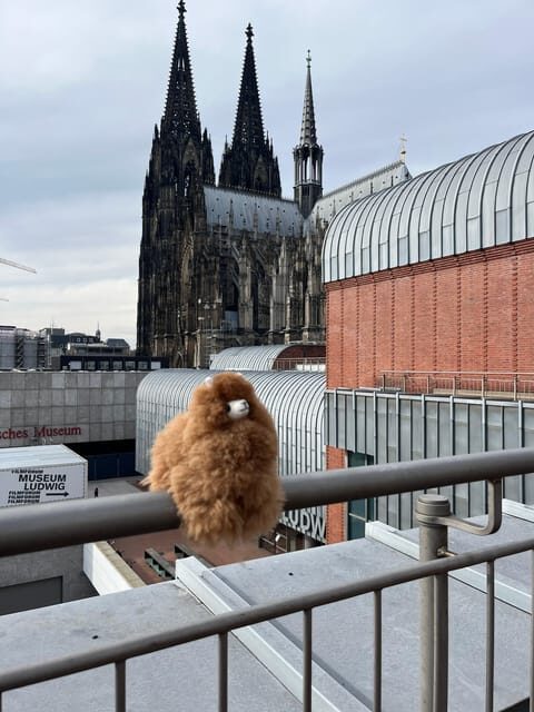 Day tour Aachen & Cologne from Brussels - Who Should Consider This Tour?