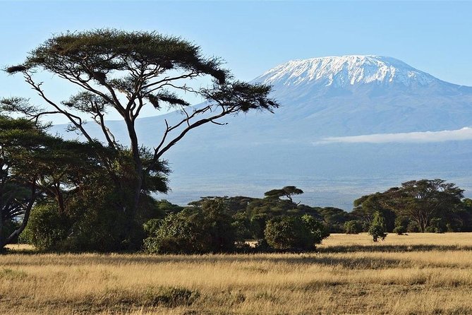 Day Tour - Amboseli National Park From Nairobi - Discover Wildlife