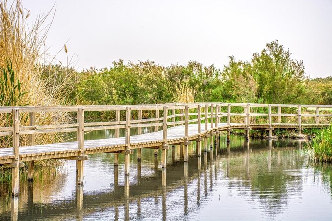 Day Tour Desert Castles & Azraq Wetland Reserve - Good To Know
