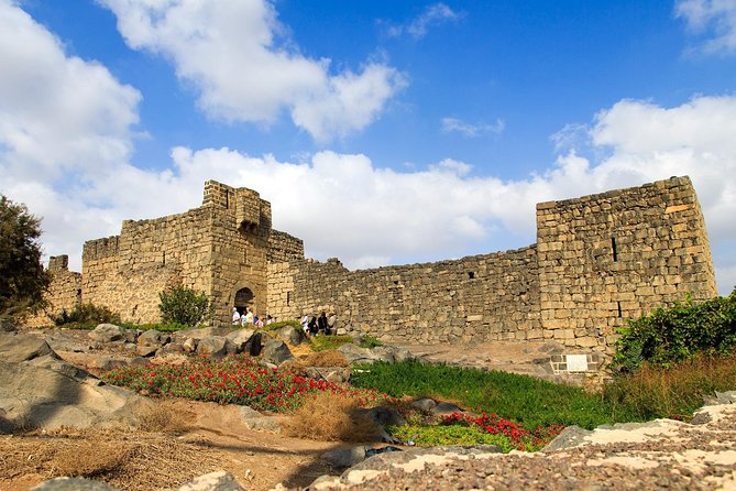 Day Tour Desert Castles & Azraq Wetland Reserve - Pickup and Cancellation