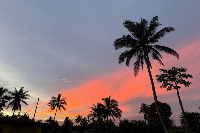 Day Tour Exploration of Fiji Culture and Nature - A Detailed Look at the Itinerary