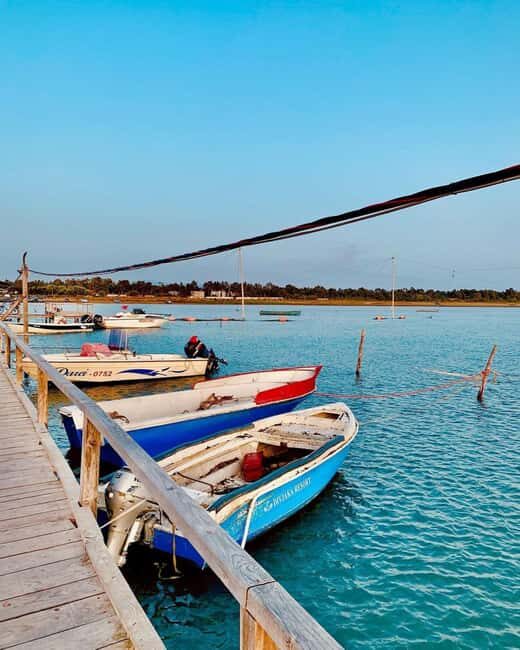 Day Tour From Tirana: Discover Berat and Divjaka - Who Is This Tour Best For?