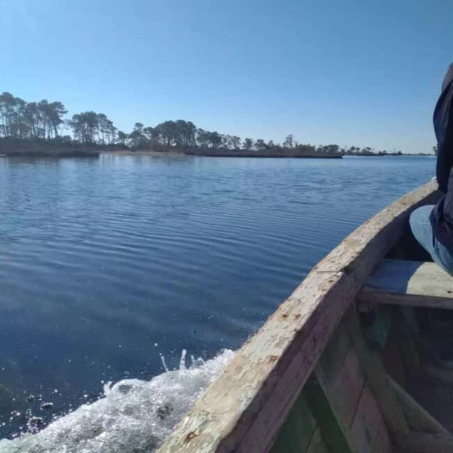 Day Tour From Tirana: Discover Berat and Divjaka - FAQ