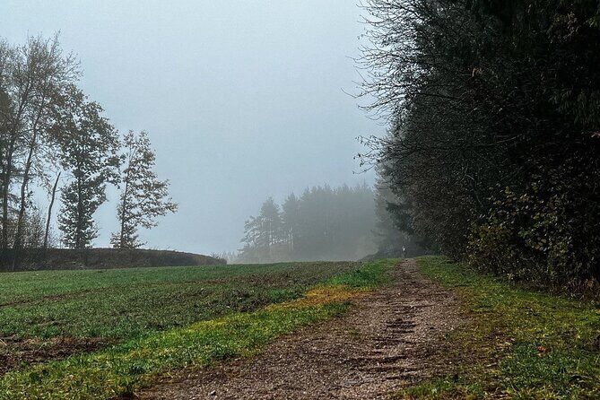 Day tour From Vilnius to Belarus border a frozen corner of Europe - FAQ