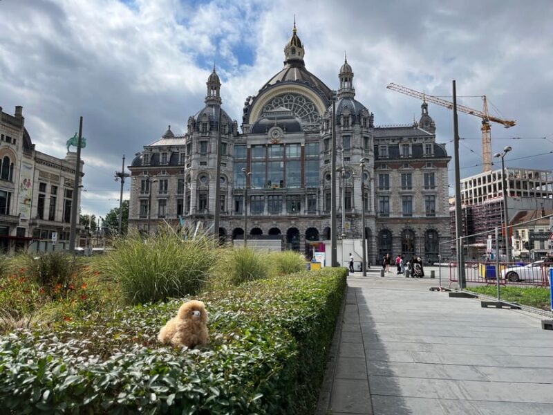 Day Tour Hague&Rotterdam From Amsterdam - Additional Tour Benefits