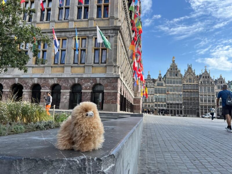 Day Tour Hague&Rotterdam From Amsterdam - Good To Know