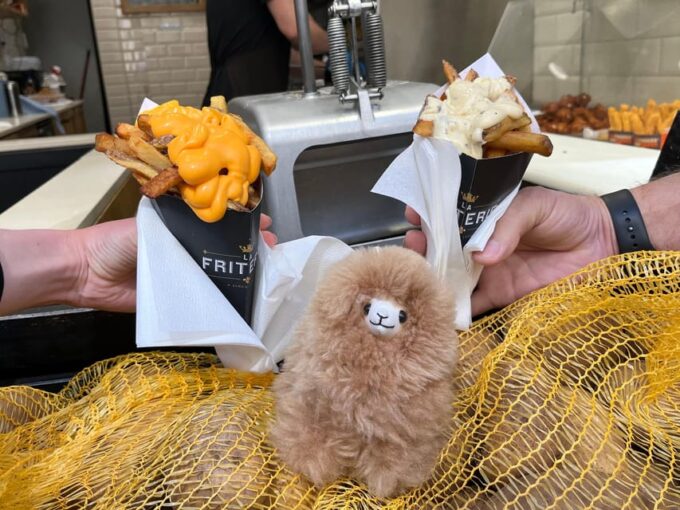 Day Tour Hague&Rotterdam From Amsterdam - Customer Reviews and Testimonials