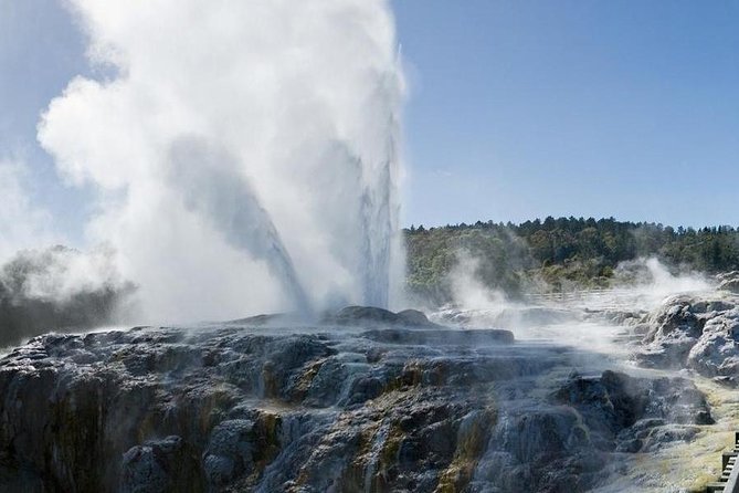 Day Tour Hobbiton + Rotorua From Auckland in Luxury Minibus - Transportation and Pickup Details