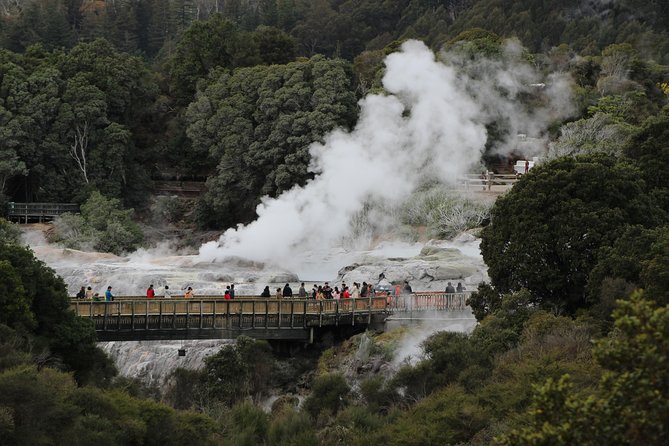 Day Tour Hobbiton + Rotorua From Auckland in Luxury Minibus - What to Expect on the Tour