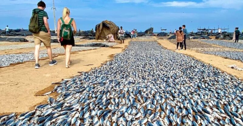 DAY TOUR - NEGOMBO - Good To Know