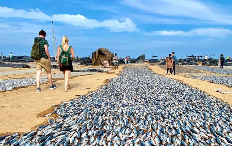 DAY TOUR - NEGOMBO - Pickup and Transportation