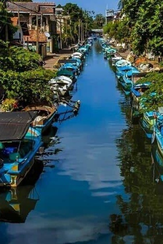 DAY TOUR - NEGOMBO - Group Size and Itinerary